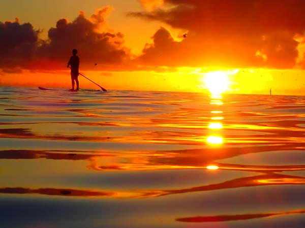 「朝の陽光を浴びて」　撮影 西表島ウォーターマン 徳岡大之さん