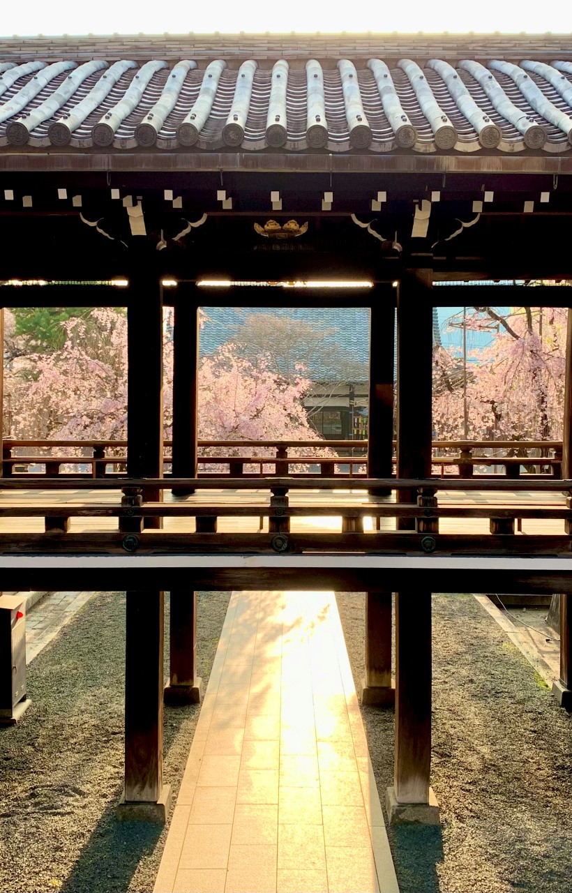 真宗佛光寺派 本山佛光寺